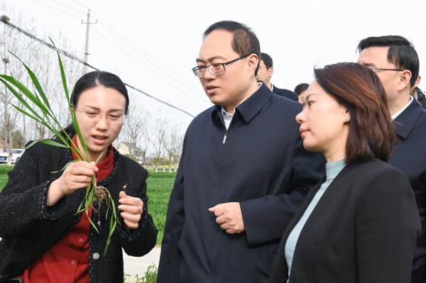 盐城市委副书记、市长张明康调研春季农业生产工作